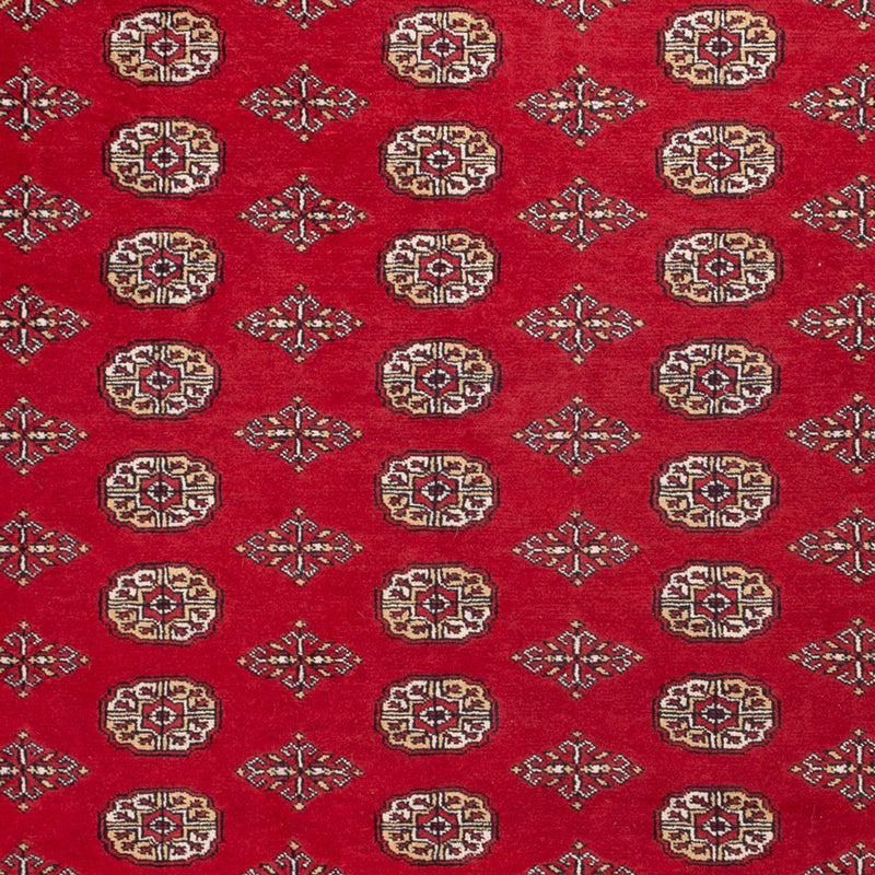 Afghan Rug - Bukhara - 305 x 252 cm - red