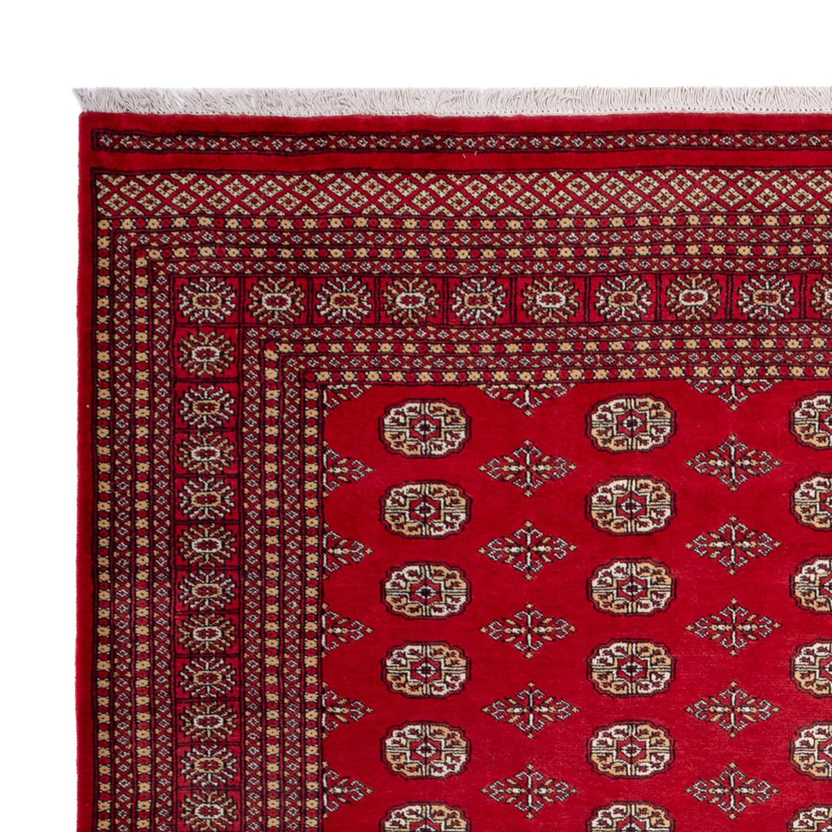 Bukhara Rug 252x305cm - Oriental Rug