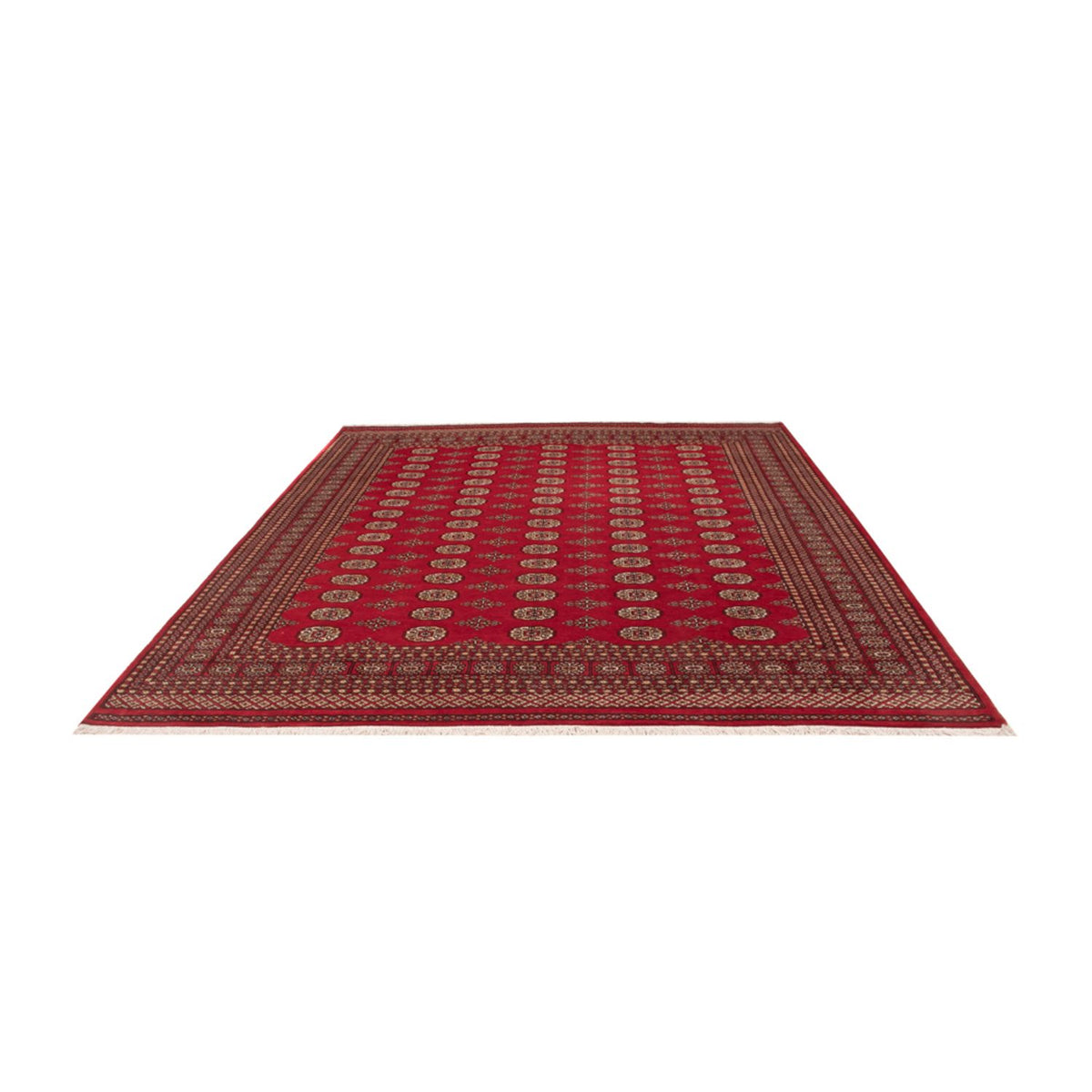 Afghan Rug - Bukhara - 305 x 252 cm - red