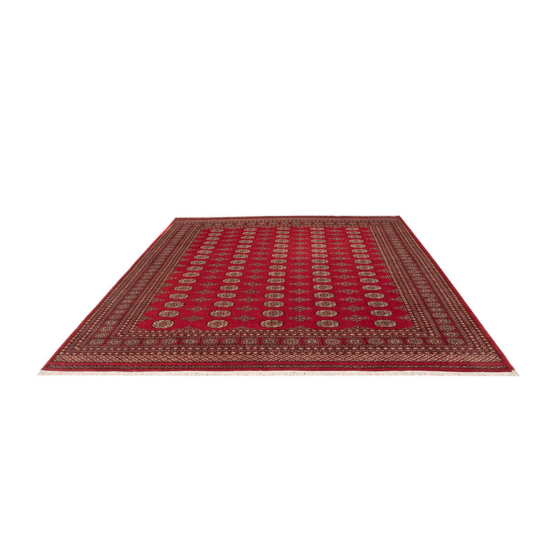 Afghan Rug - Bukhara - 305 x 252 cm - red