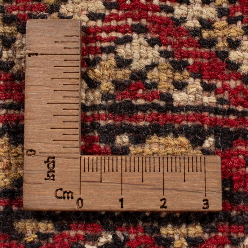 Afghan Rug - Bukhara - 305 x 252 cm - red