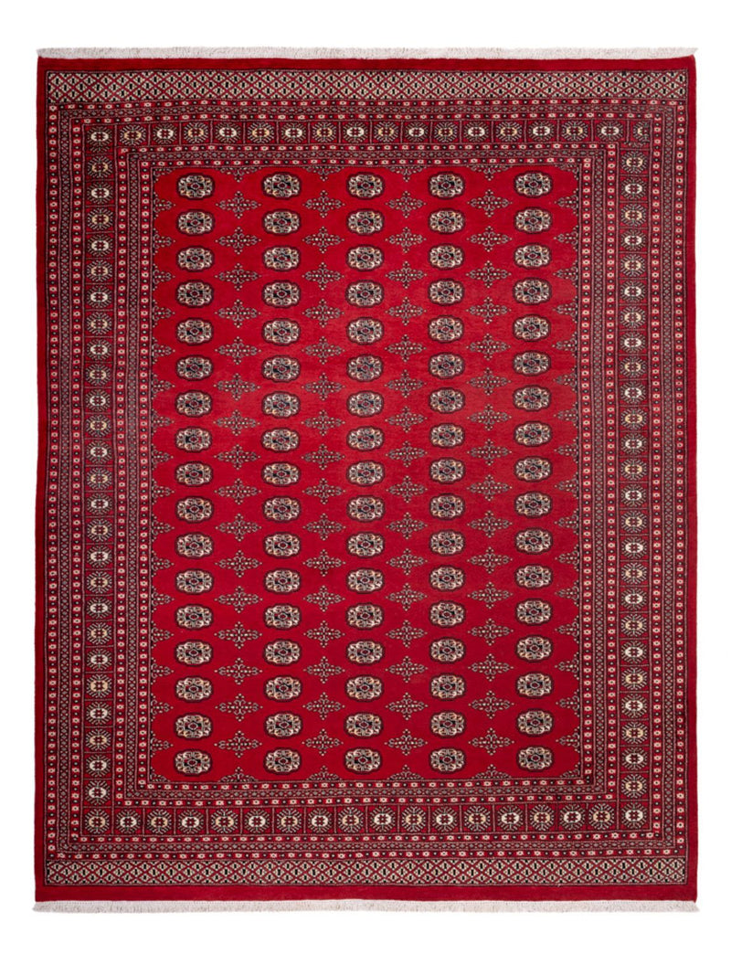 Afghan Rug - Bukhara - 319 x 250 cm - red