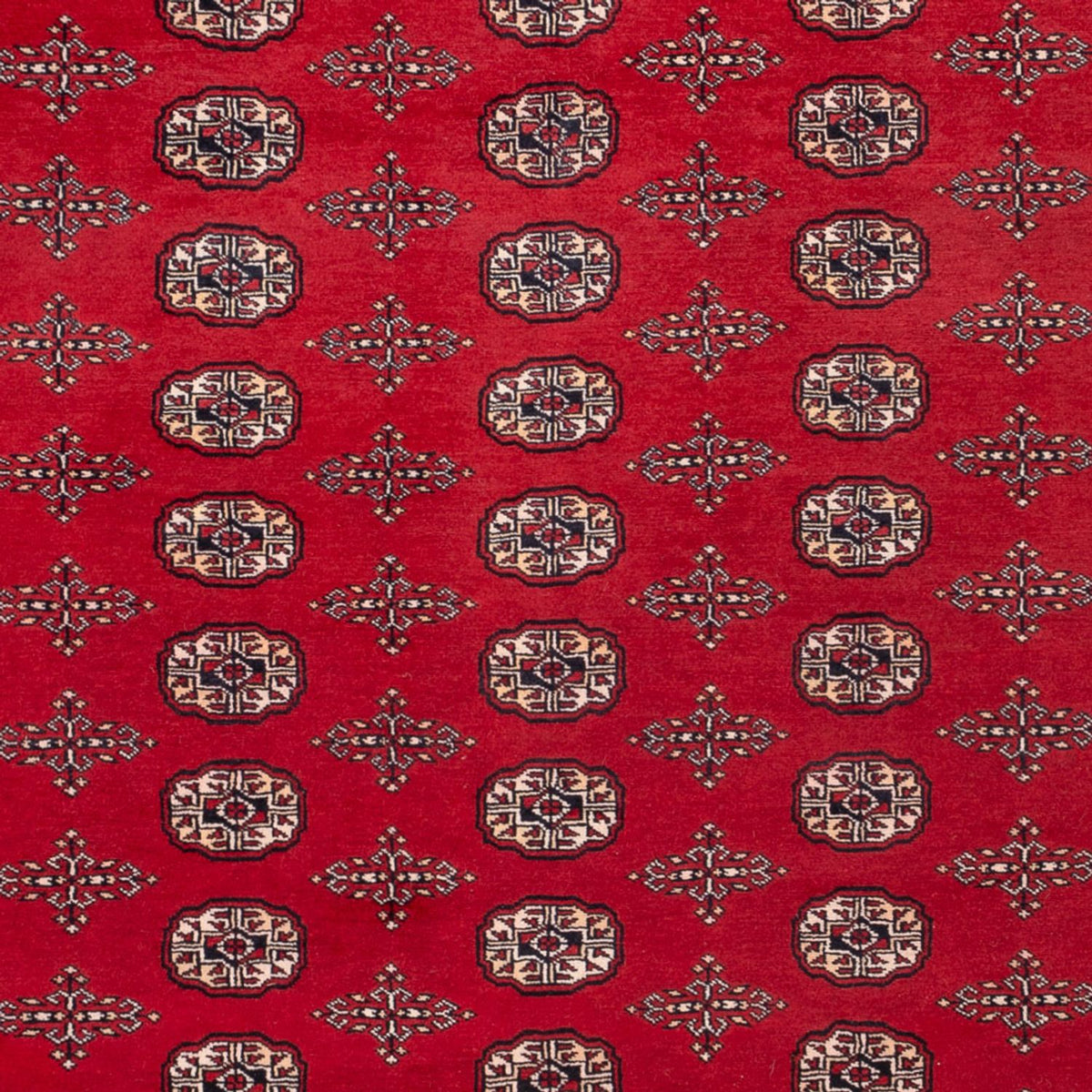 Afghan Rug - Bukhara - 319 x 250 cm - red
