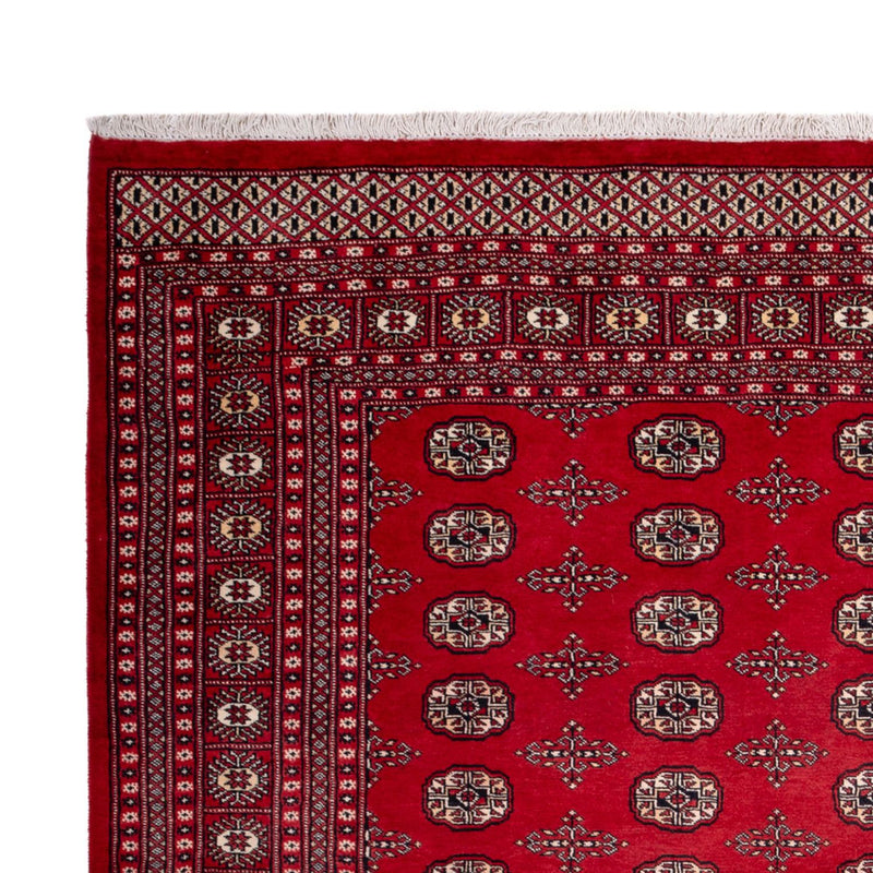 Afghan Rug - Bukhara - 319 x 250 cm - red