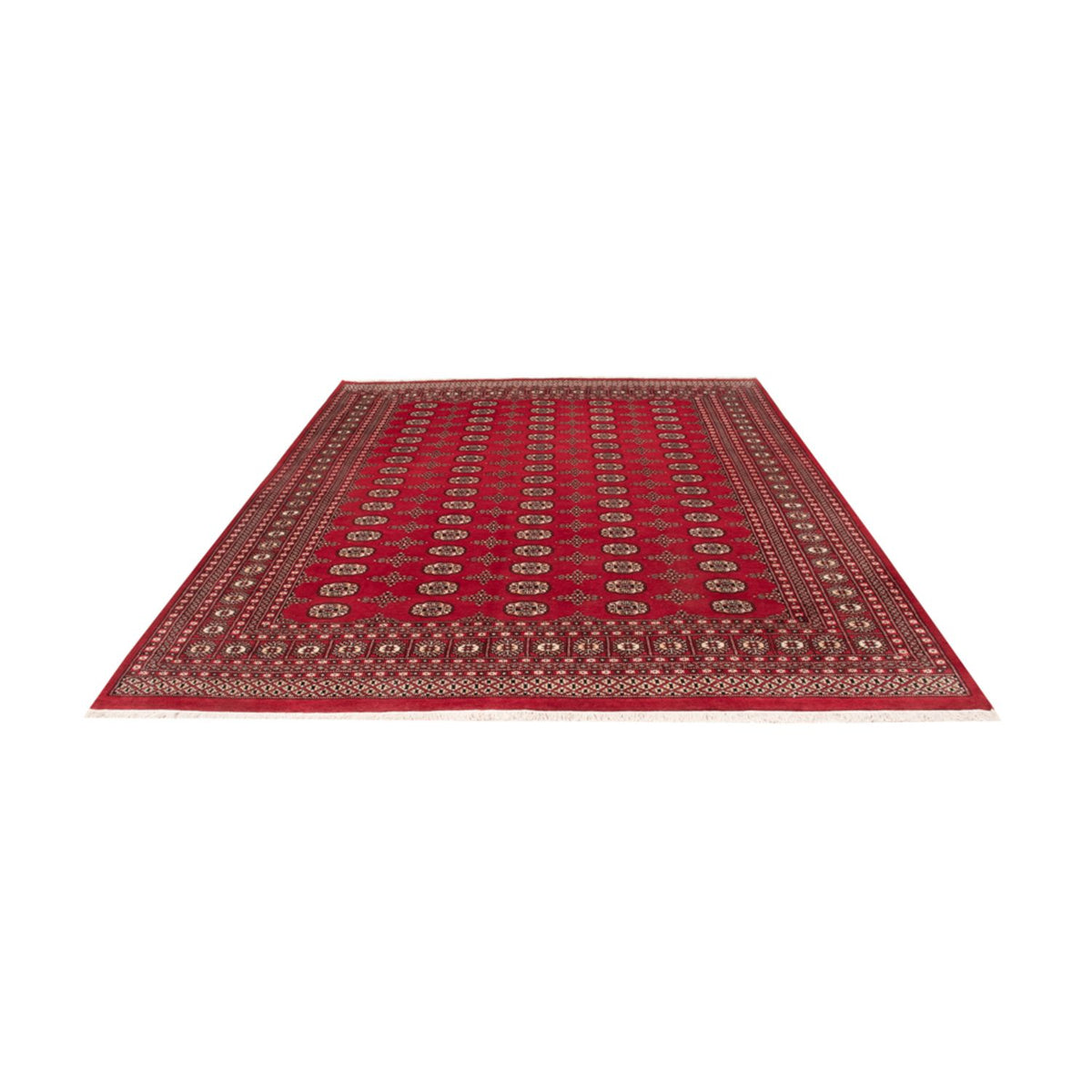 Afghan Rug - Bukhara - 319 x 250 cm - red