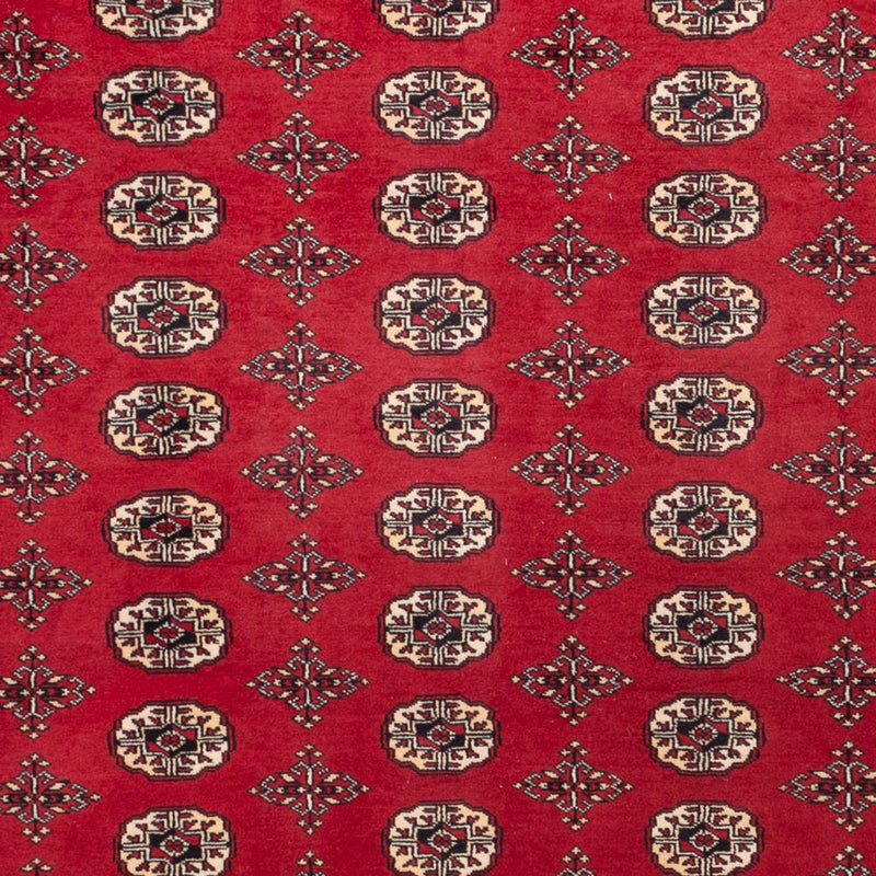 Afghan Rug - Bukhara - 309 x 248 cm - red