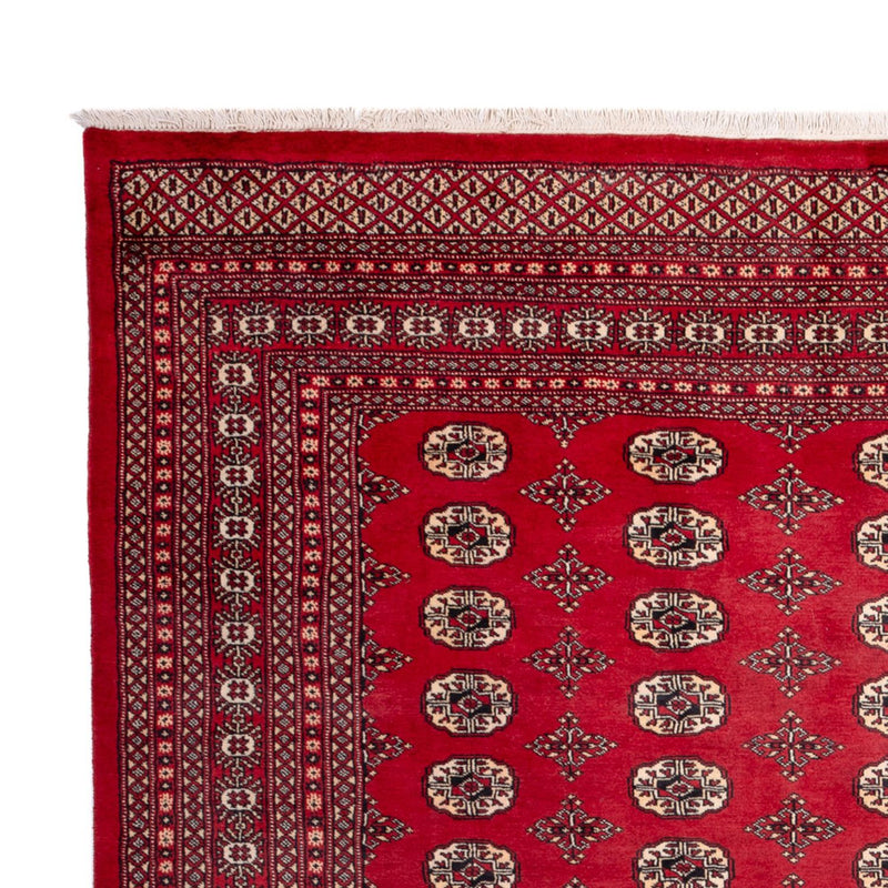 Afghan Rug - Bukhara - 309 x 248 cm - red