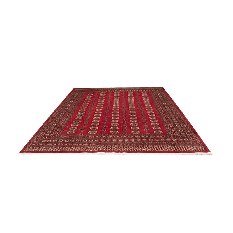 Afghan Rug - Bukhara - 309 x 248 cm - red