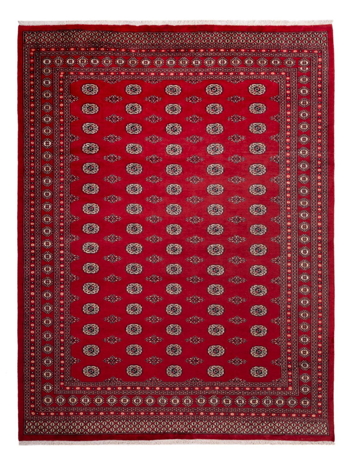 Afghan Rug - Bukhara - 323 x 248 cm - red