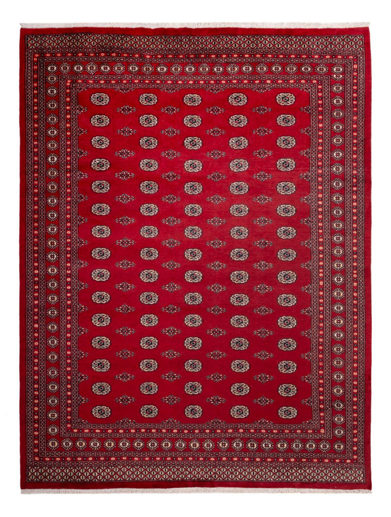 Afghan Rug - Bukhara - 323 x 248 cm - red