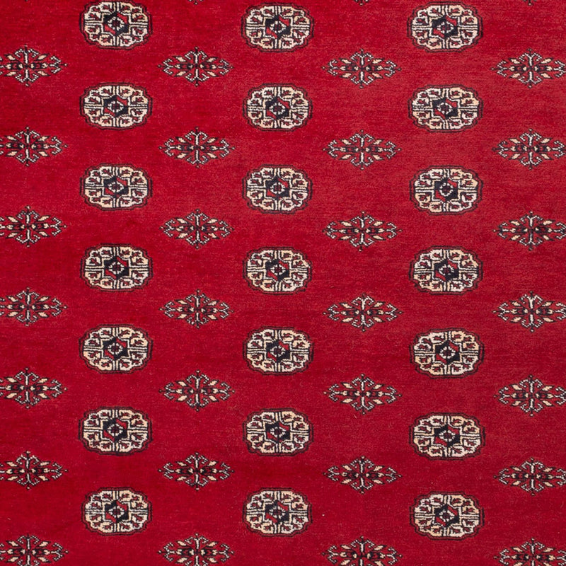Afghan Rug - Bukhara - 323 x 248 cm - red
