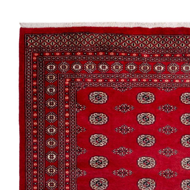 Afghan Rug - Bukhara - 323 x 248 cm - red