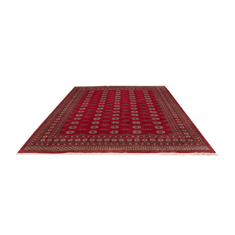 Afghan Rug - Bukhara - 323 x 248 cm - red