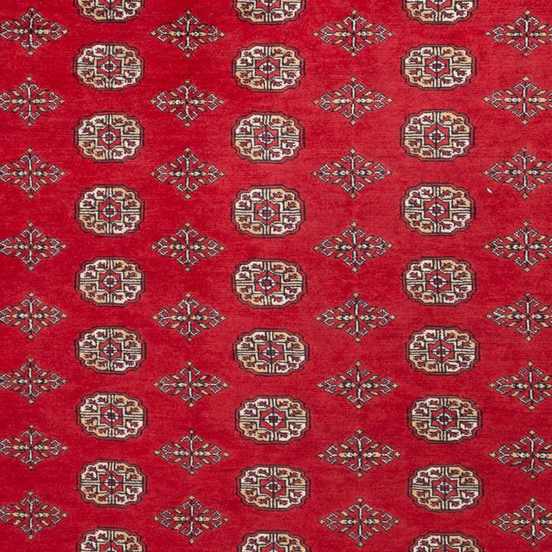 Afghan Rug - Bukhara - 321 x 247 cm - red