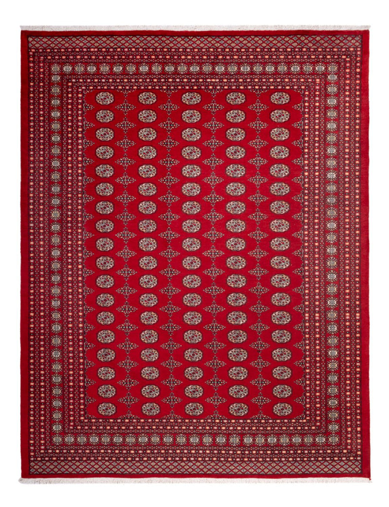 Afghan Rug - Bukhara - 318 x 247 cm - red