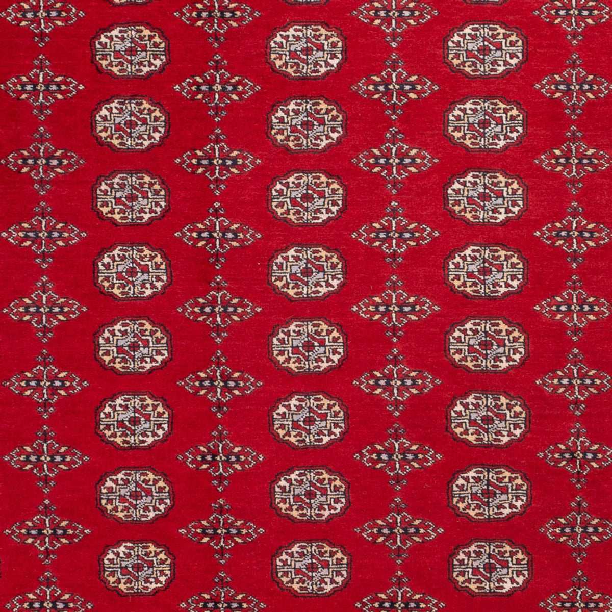 Afghan Rug - Bukhara - 318 x 247 cm - red