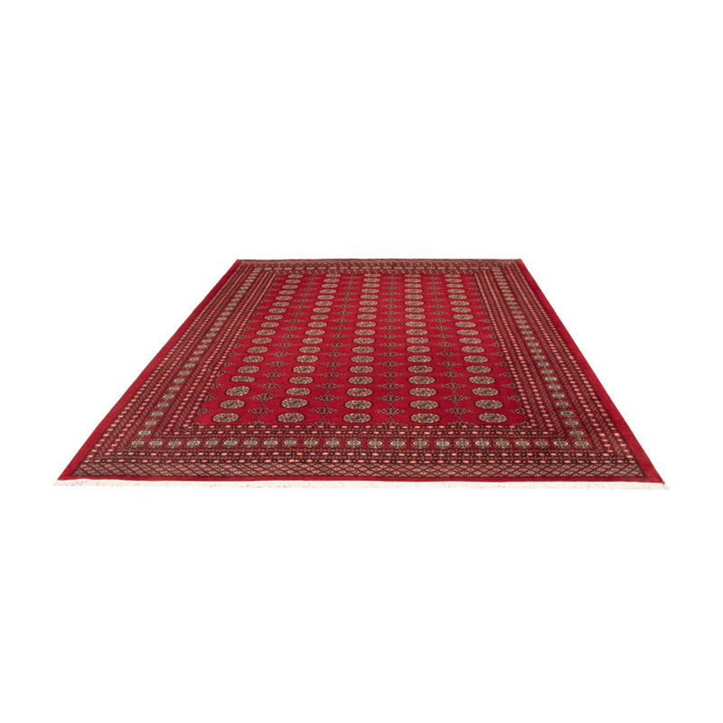 Afghan Rug - Bukhara - 318 x 247 cm - red