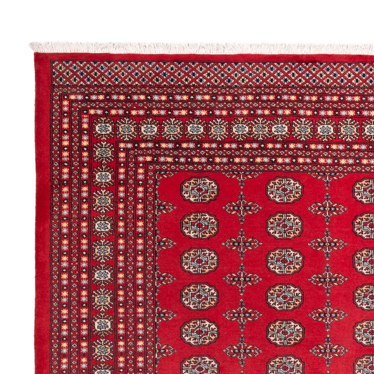 Afghan Rug - Bukhara - 310 x 250 cm - red