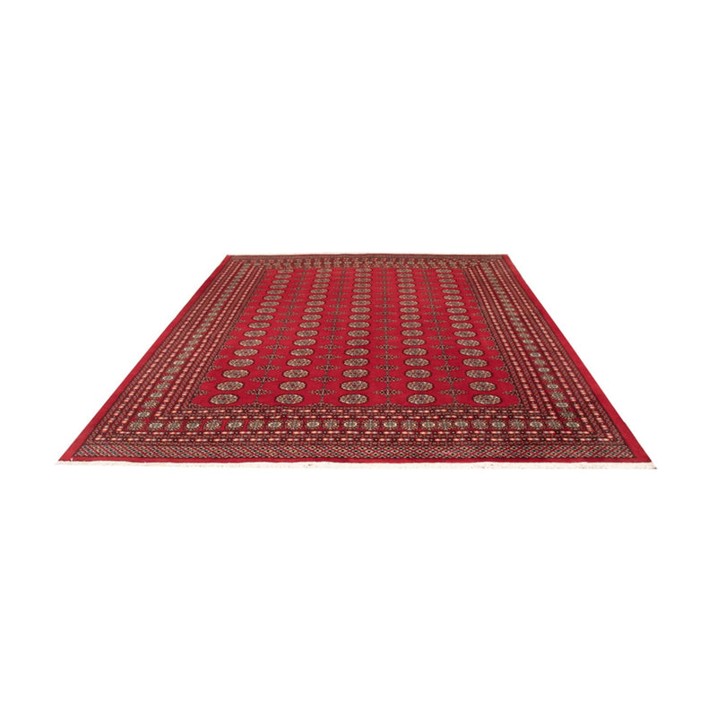 Afghan Rug - Bukhara - 310 x 250 cm - red