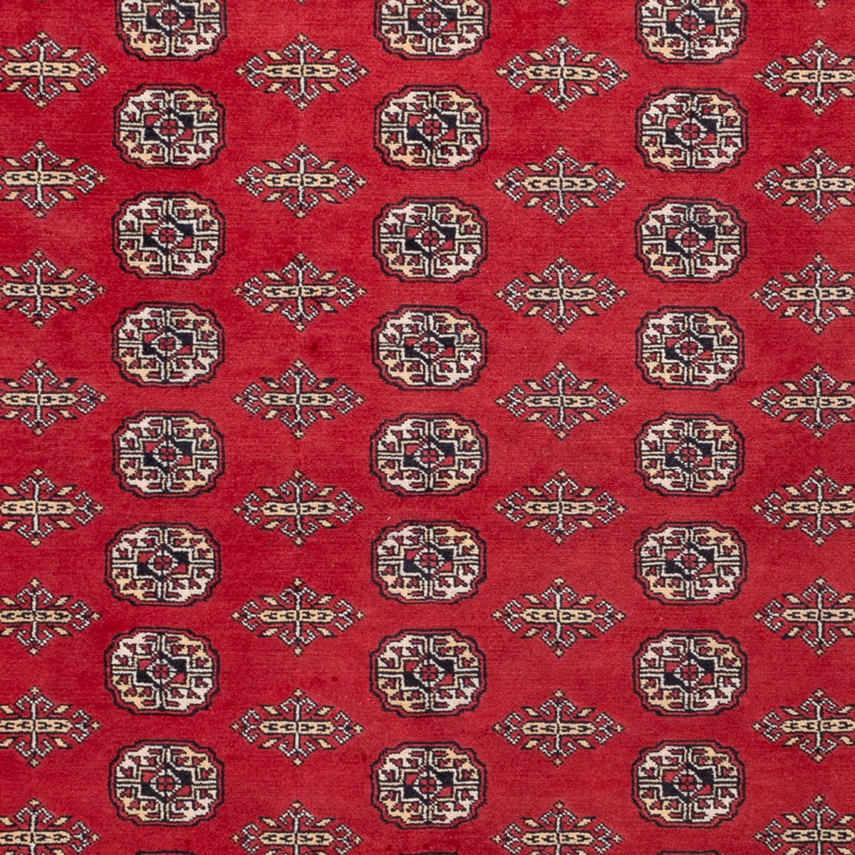 Afghan Rug - Bukhara - 315 x 248 cm - red