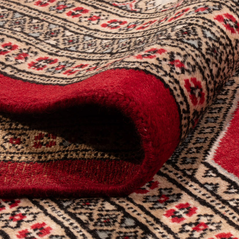 Afghan Rug - Bukhara - 287 x 220 cm - red