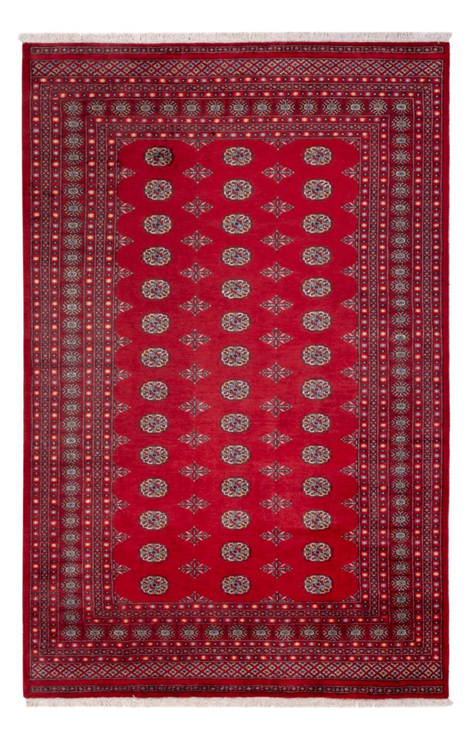 Afghan Rug - Bukhara - 307 x 202 cm - red