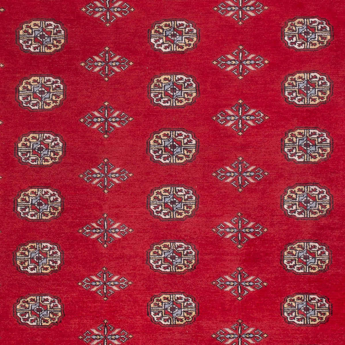 Afghan Rug - Bukhara - 307 x 202 cm - red