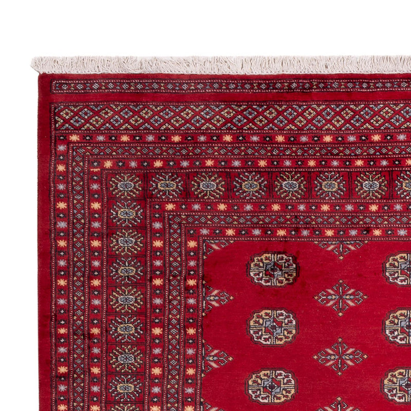 Afghan Rug - Bukhara - 307 x 202 cm - red