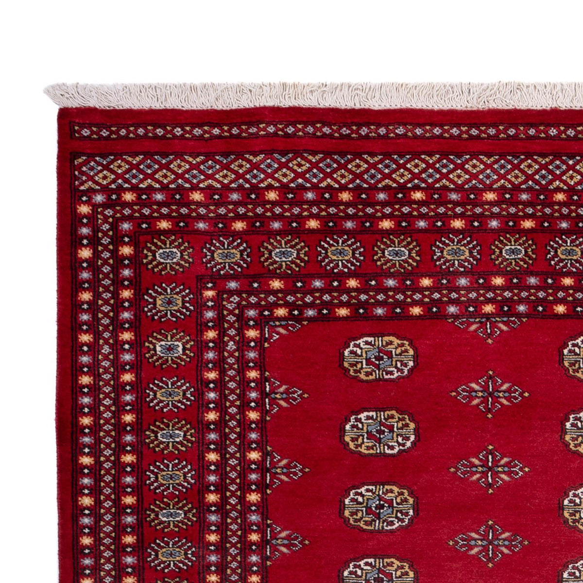 Afghan Rug - Bukhara - 302 x 202 cm - red