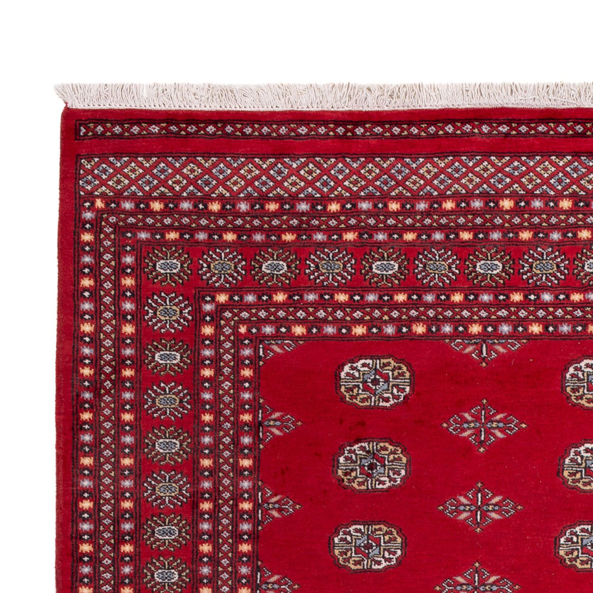 Afghan Rug - Bukhara - 303 x 205 cm - red