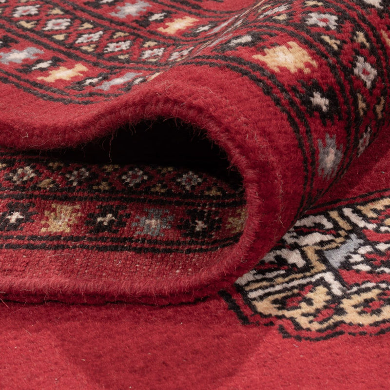 Afghan Rug - Bukhara - 303 x 205 cm - red