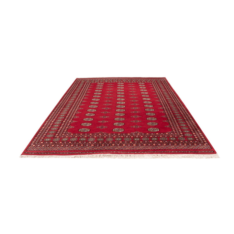 Afghan Rug - Bukhara - 303 x 205 cm - red