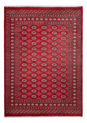 Afghan Rug - Bukhara - 297 x 220 cm - red