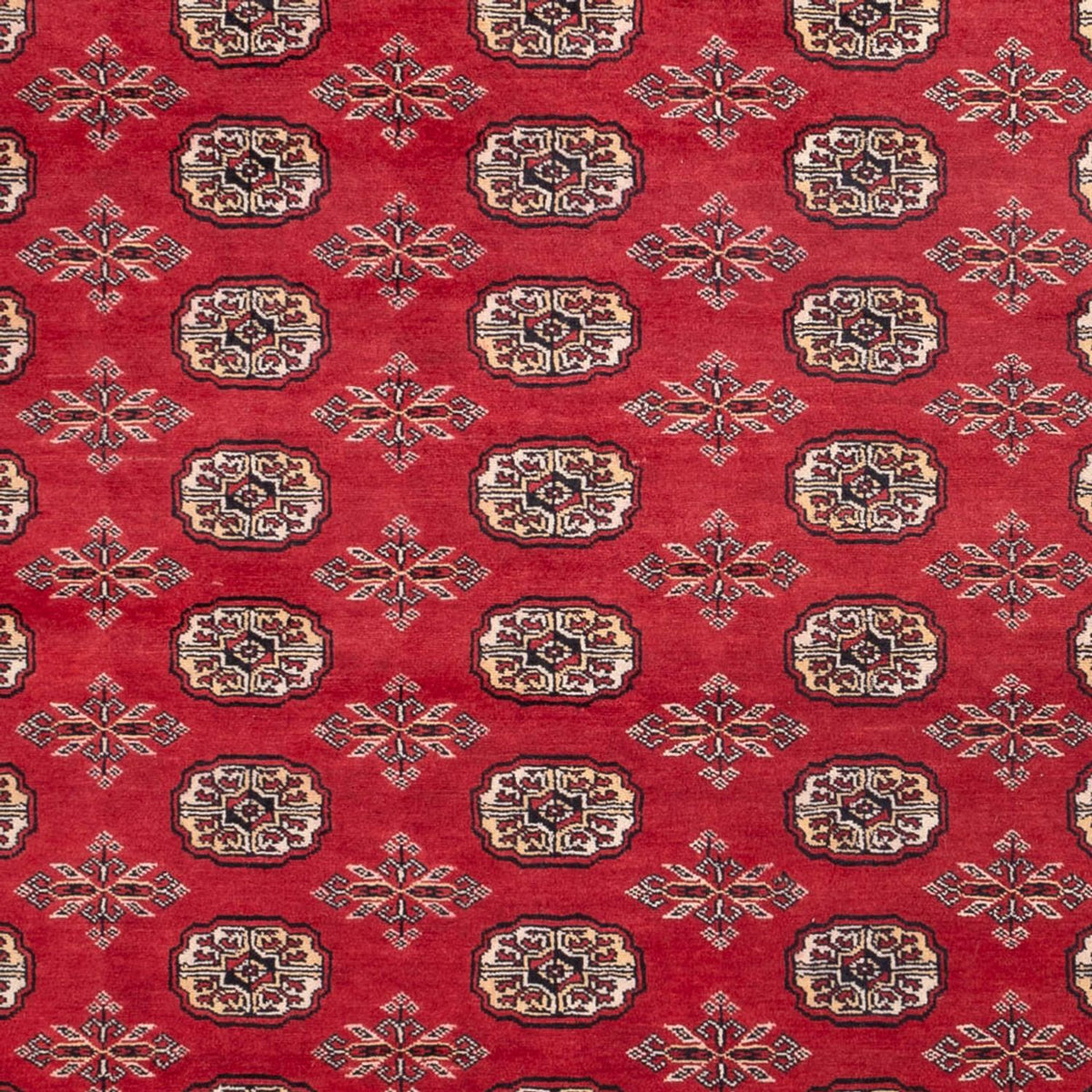 Afghan Rug - Bukhara - 297 x 220 cm - red