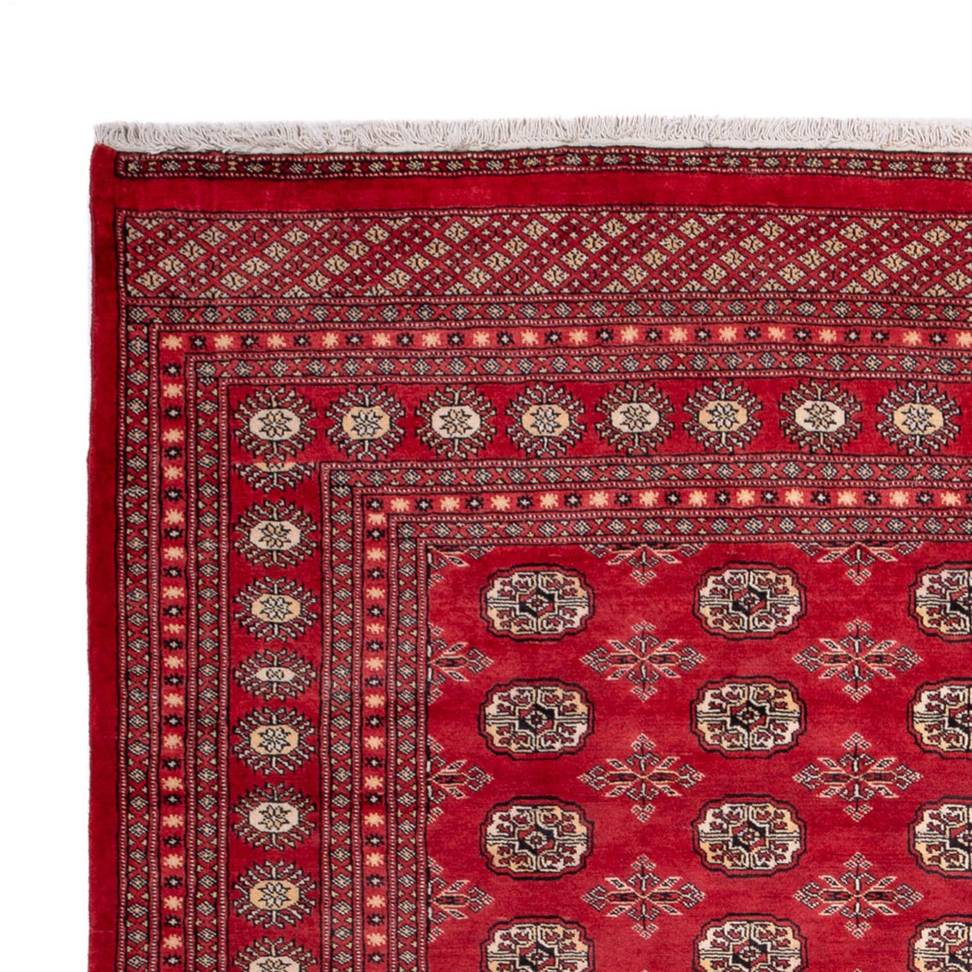 Bukhara Rug 297x220cm - Oriental Rug