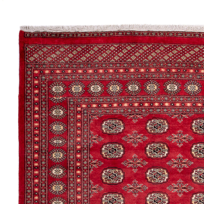 Afghan Rug - Bukhara - 297 x 220 cm - red