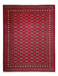 Afghan Rug - Bukhara - 322 x 248 cm - red