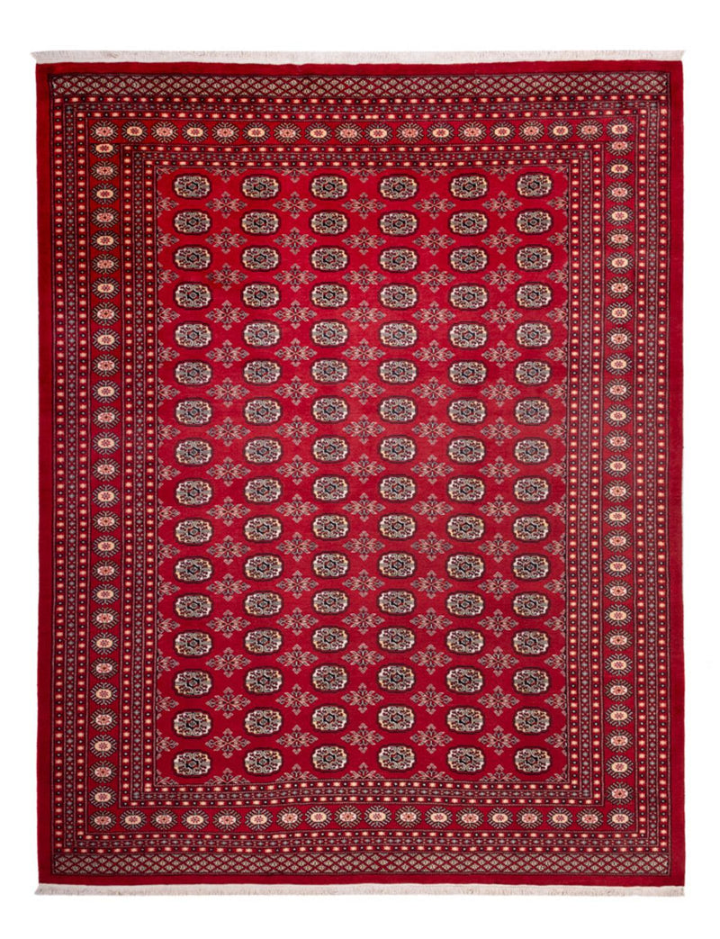 Afghan Rug - Bukhara - 322 x 248 cm - red