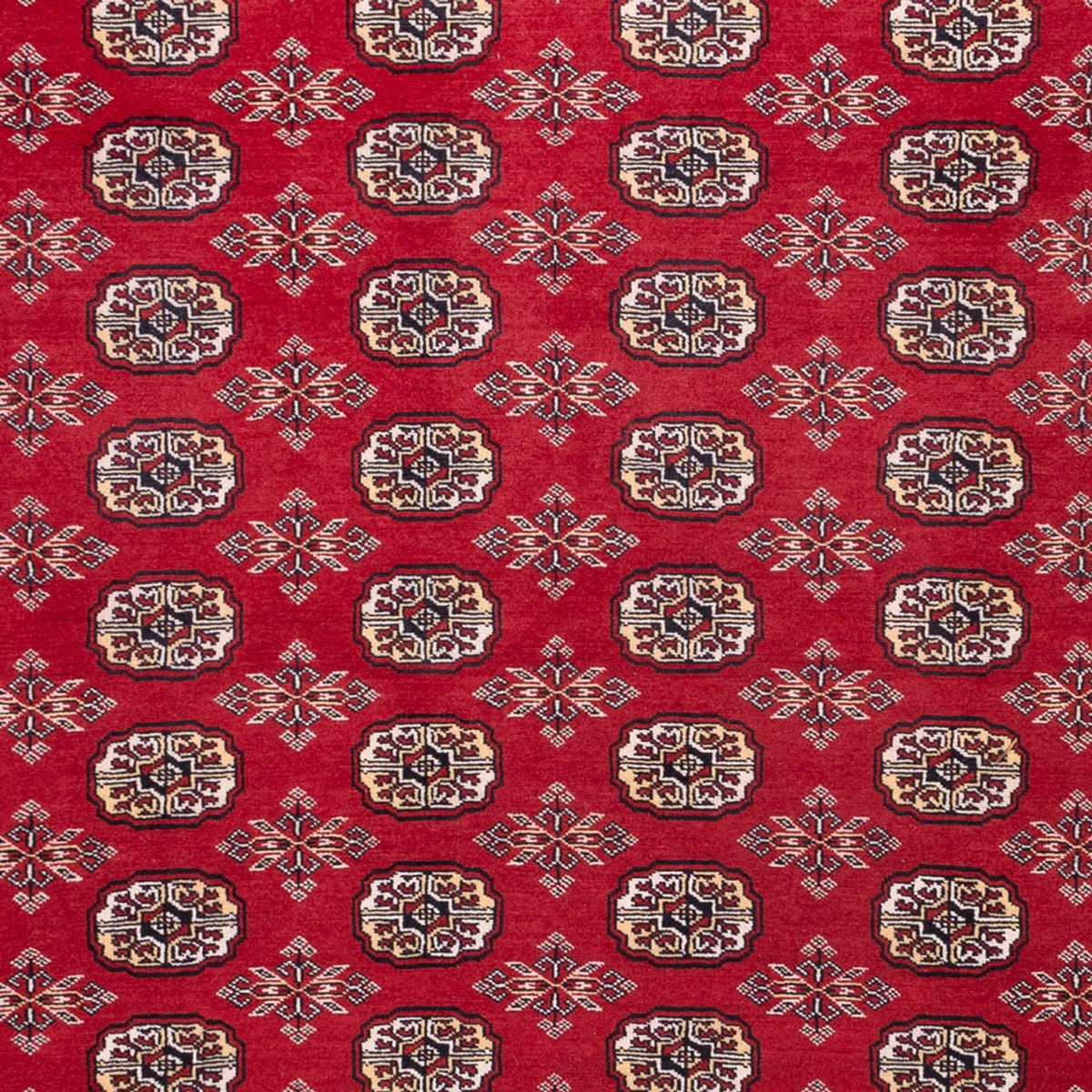 Afghan Rug - Bukhara - 322 x 248 cm - red