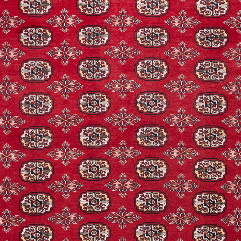 Afghan Rug - Bukhara - 322 x 248 cm - red