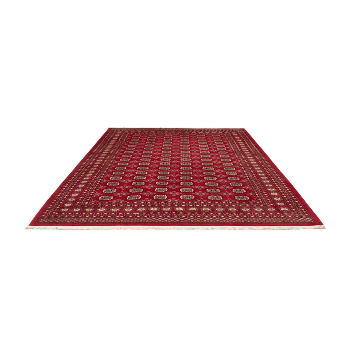 Afghan Rug - Bukhara - 322 x 248 cm - red