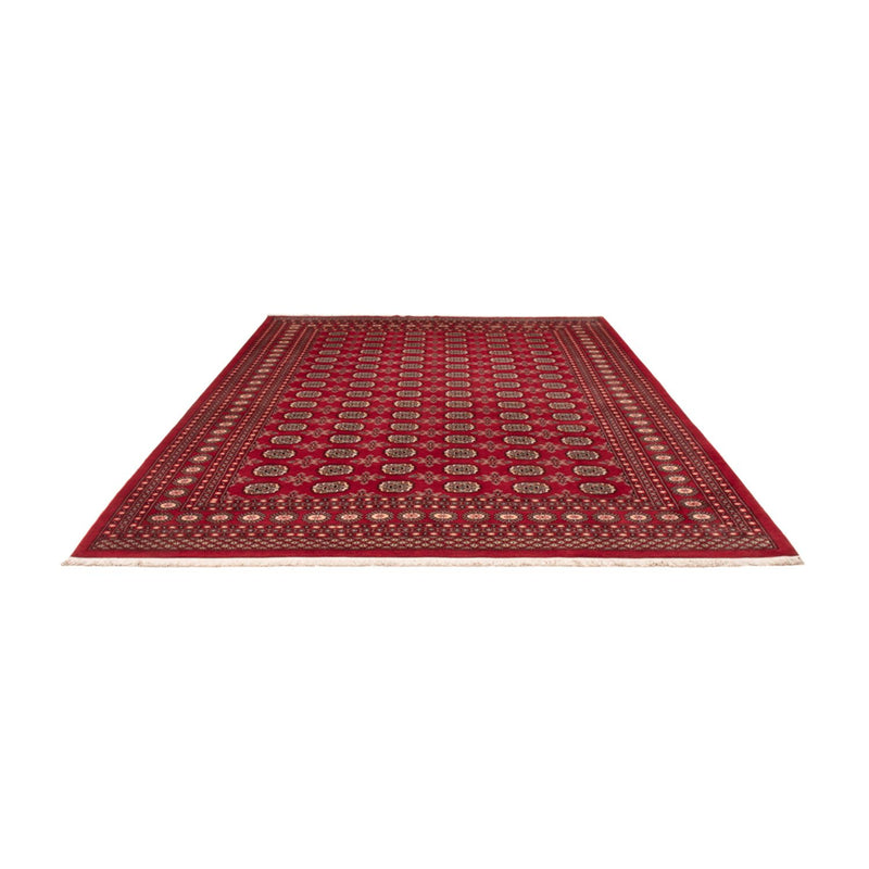 Afghan Rug - Bukhara - 322 x 248 cm - red