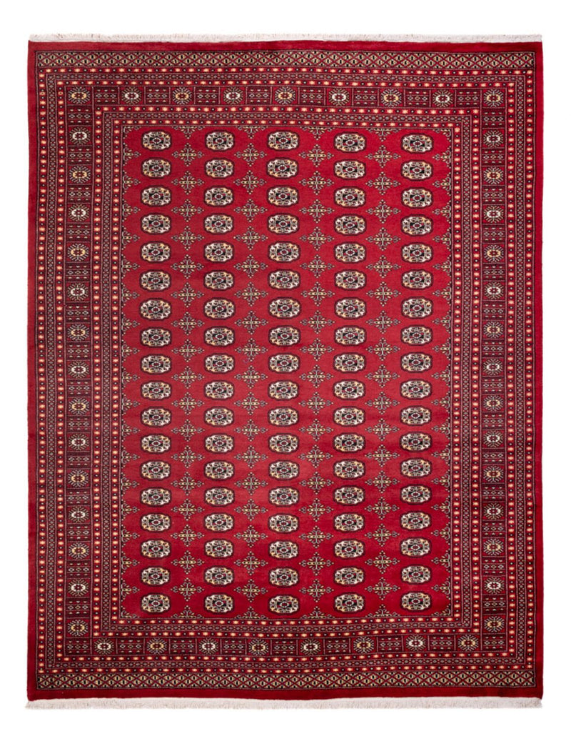 Afghan Rug - Bukhara - 312 x 245 cm - red