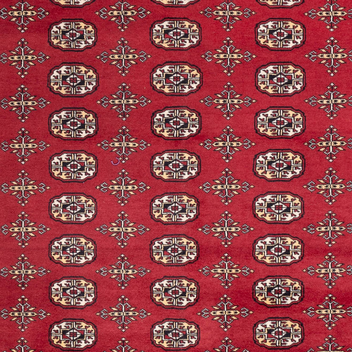 Afghan Rug - Bukhara - 312 x 245 cm - red