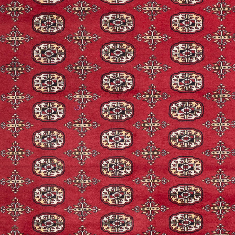 Afghan Rug - Bukhara - 312 x 245 cm - red
