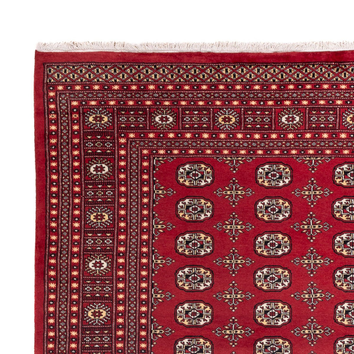 Bukhara Rug 245x312cm - Oriental Rug