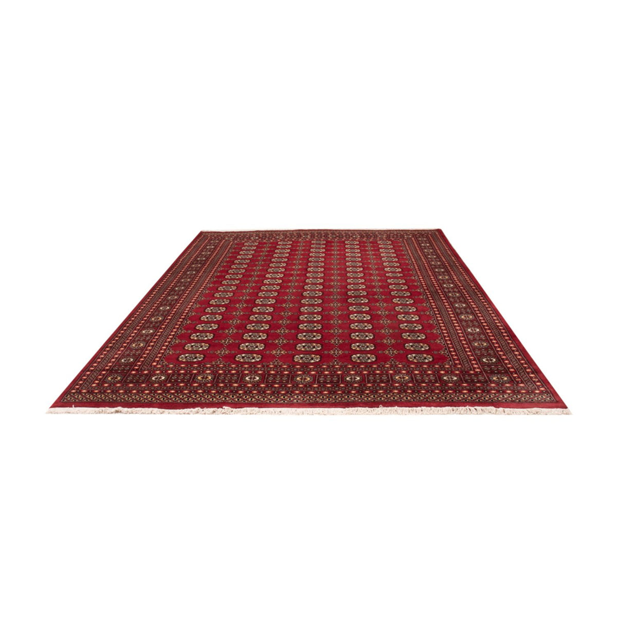 Afghan Rug - Bukhara - 312 x 245 cm - red