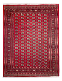 Afghan Rug - Bukhara - 311 x 243 cm - red