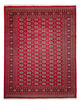 Bukhara Rug 311x243cm - Oriental Rug