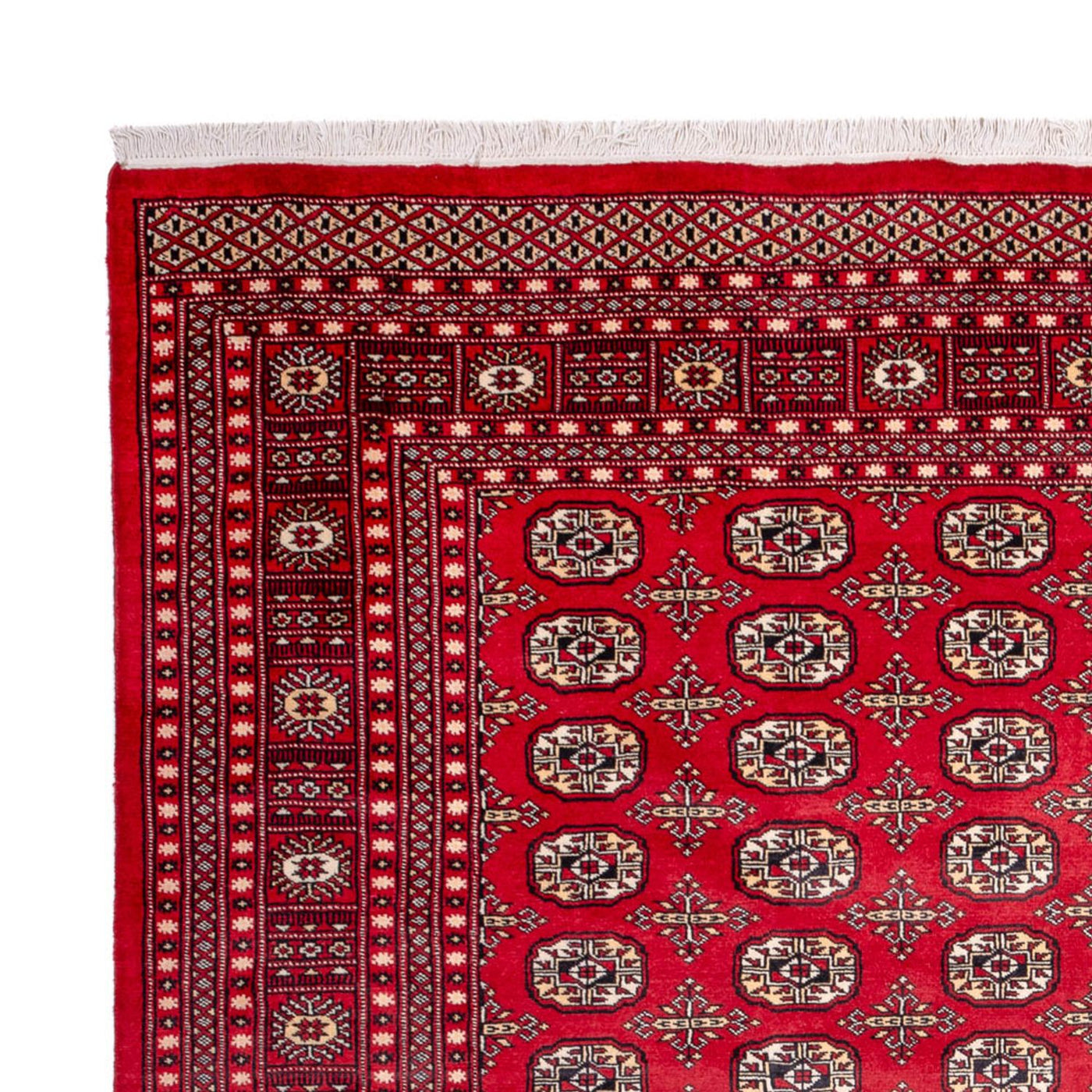 Bukhara Rug 311x243cm - Oriental Rug